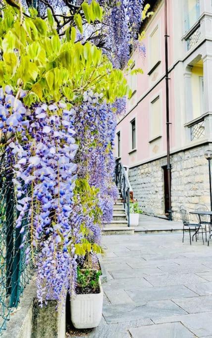 Charming & Luxury Villa Como Lake Екстериор снимка